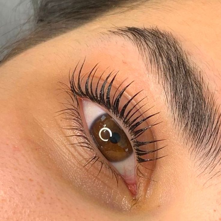How Long Does Eyelash Tinting Last?