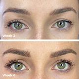 2 In 1 Brow & Lash Growth Serum with Multi-Peptides